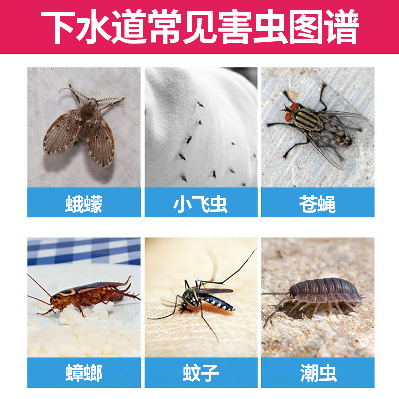 下水道驱虫去污剂